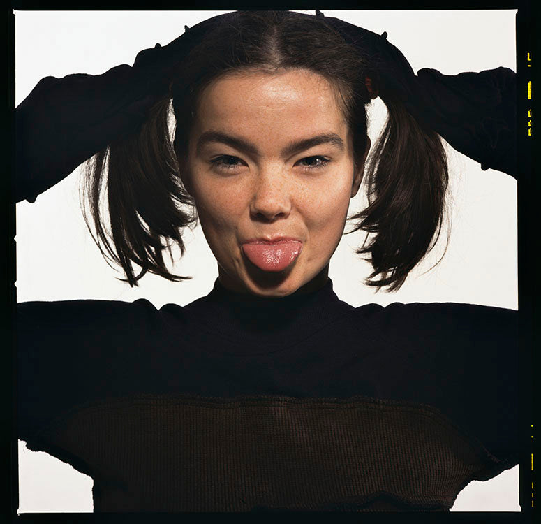 Björk, 1993